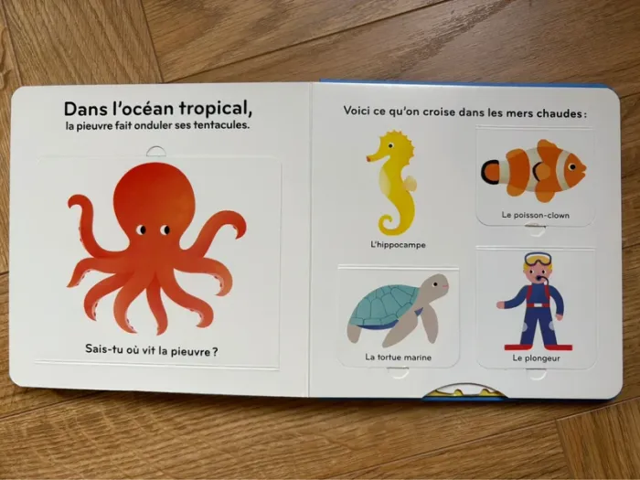 Livre imagier volets ouvrir enfant La mer Gallimard - photo numéro 9