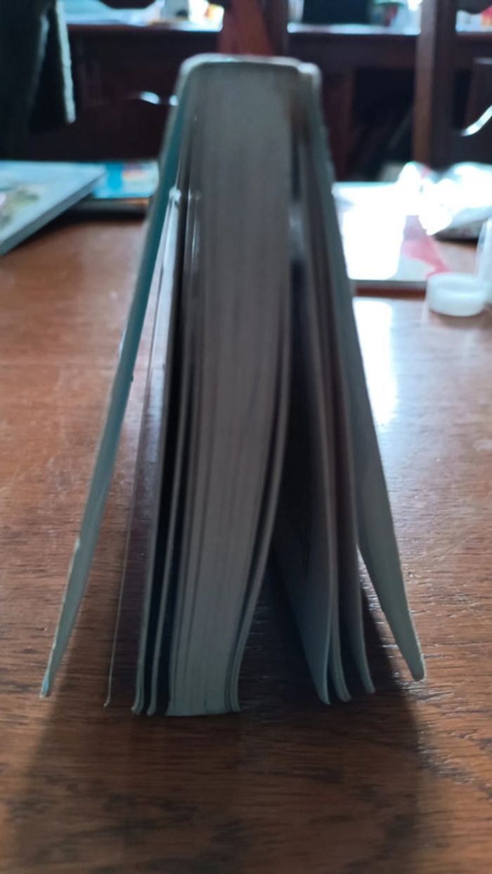 Le pouvoir par la pensée constructive. - photo numéro 5