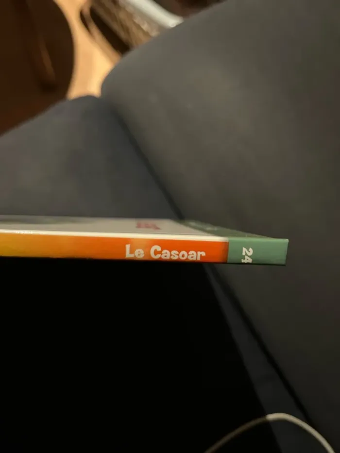 Livre pour enfants altaya le casoar - photo numéro 2