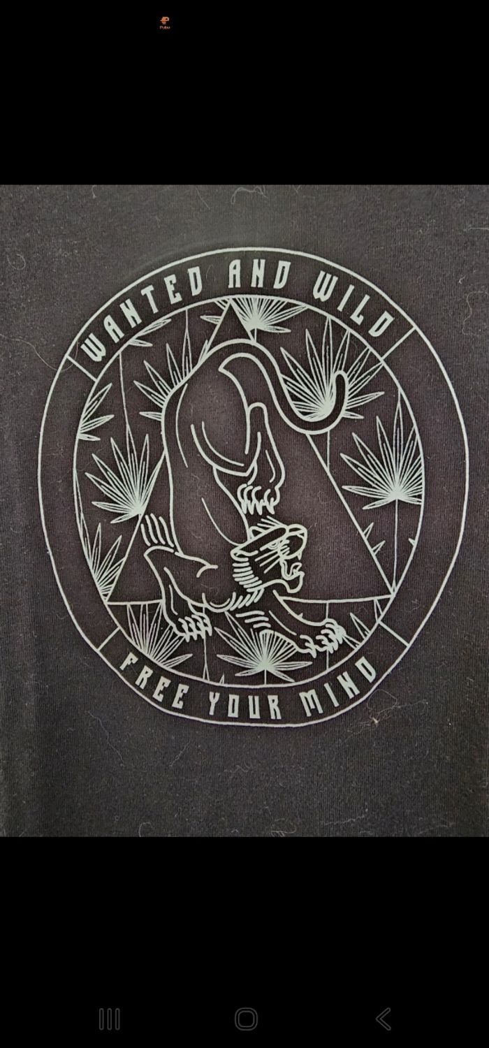 Tshirt - photo numéro 2