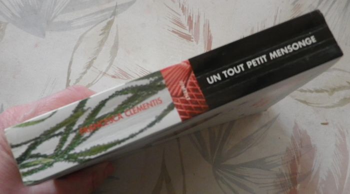 Un tout petit mensonge de Francesca Clementis Ed. Piment - photo numéro 3