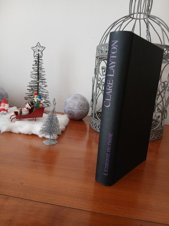 Livre/ roman " L'étreinte du passé " Layton Claire