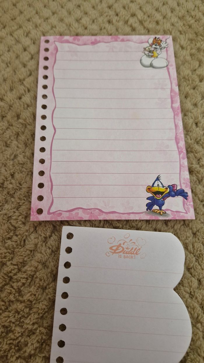 Lots de 6 feuilles diddl is back carnet - photo numéro 2