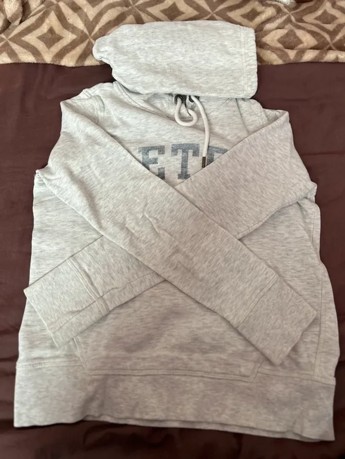 Sweat à capuche gris - photo numéro 2