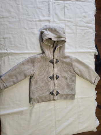 1 gilet à capuche garçon 12 mois 