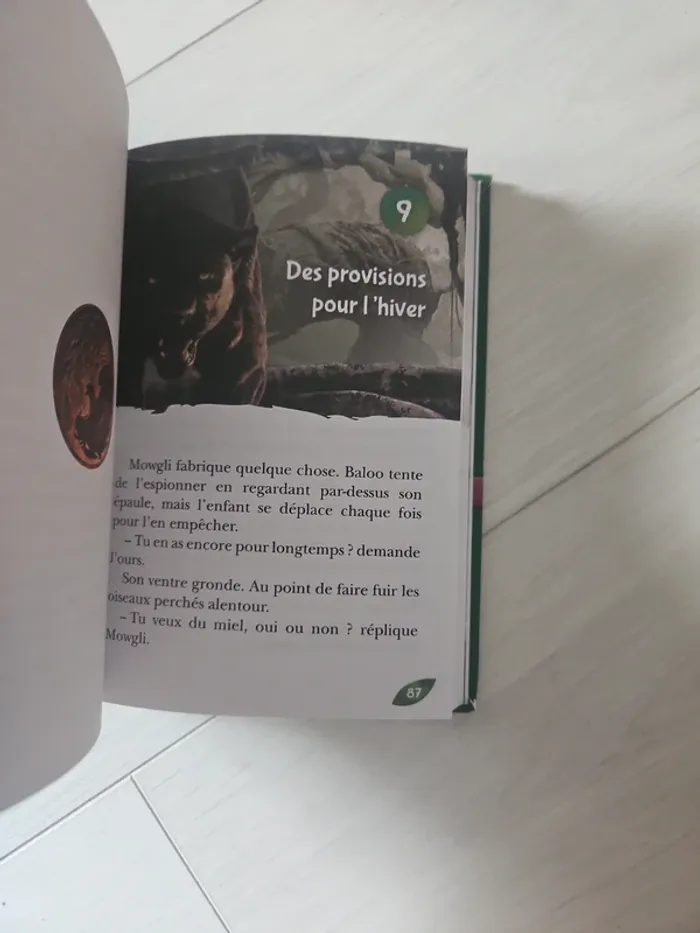 Livre Le Livre de la Jungle - photo numéro 3