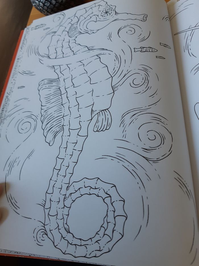 Livre de coloriage Sous l'océan - photo numéro 6