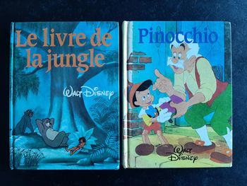 Lot 2 histoires Disney classiques - édition France Loisirs