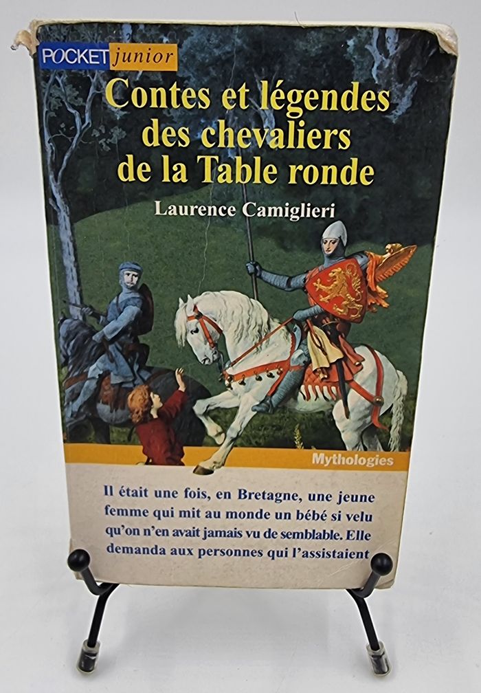 Livre Contes et Légendes des Chevaliers de la Table Ronde (Laurence Camiglieri)