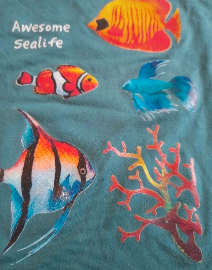 T-shirts manches courtes 6ans - photo numéro 13