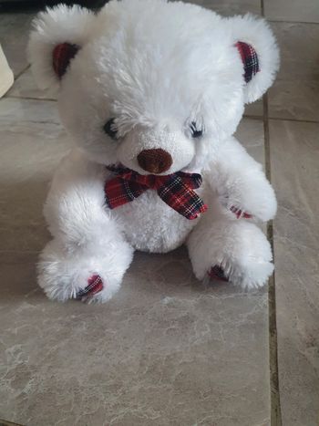 Ourson blanc