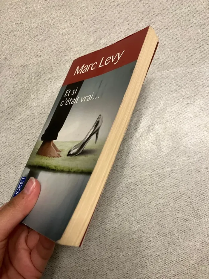 Et si c’était vrai – Marc Levy (Pocket) - photo numéro 3
