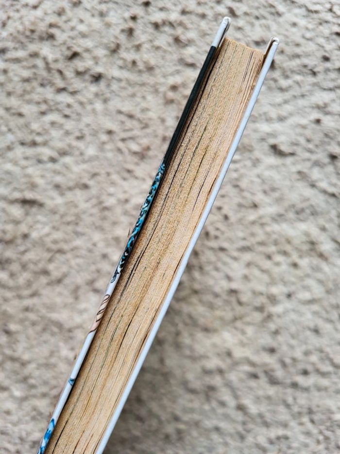 Livre vintage Les Carnets de Fantômette - Georges Chaulet (1976, Bibliothèque Rose) - photo numéro 3