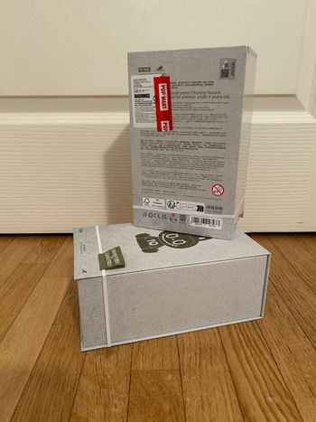 Labubu 10th anniversary Pop Mart