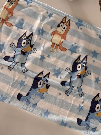 Plaid Bluey bleu clair et blanc 70x100 cm