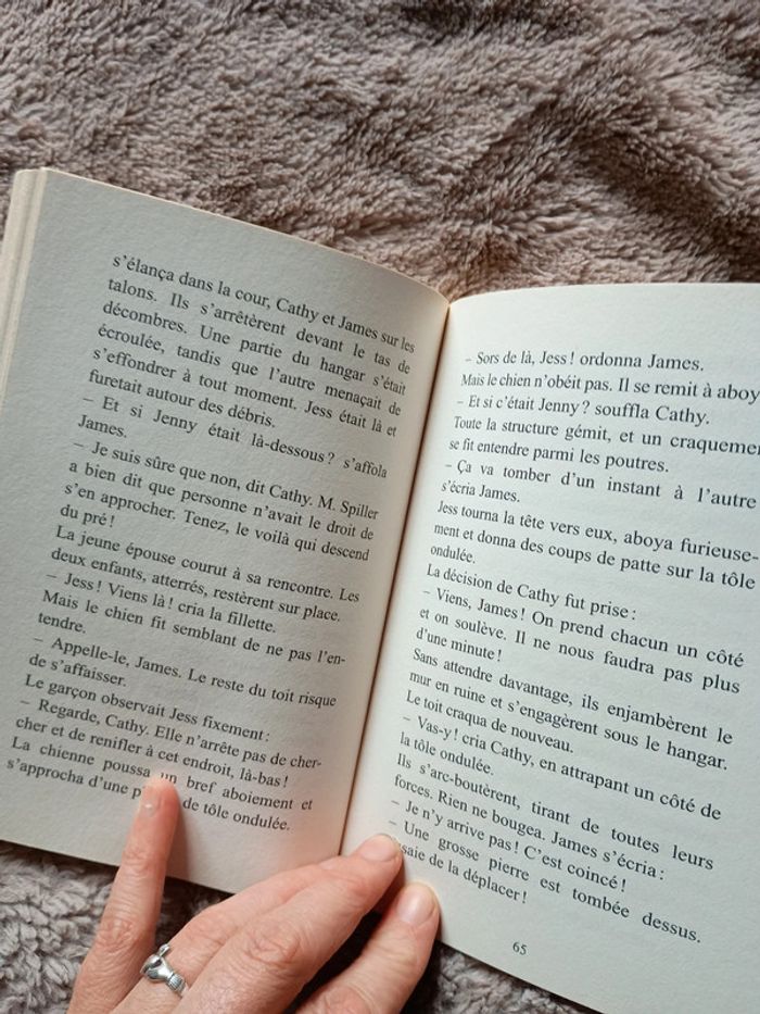Livre flibuste est un coquin - photo numéro 2