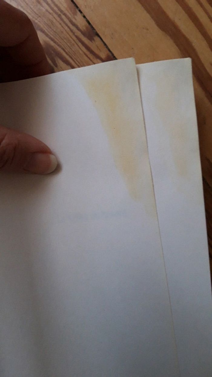 Roman la vallée du Renard - photo numéro 3