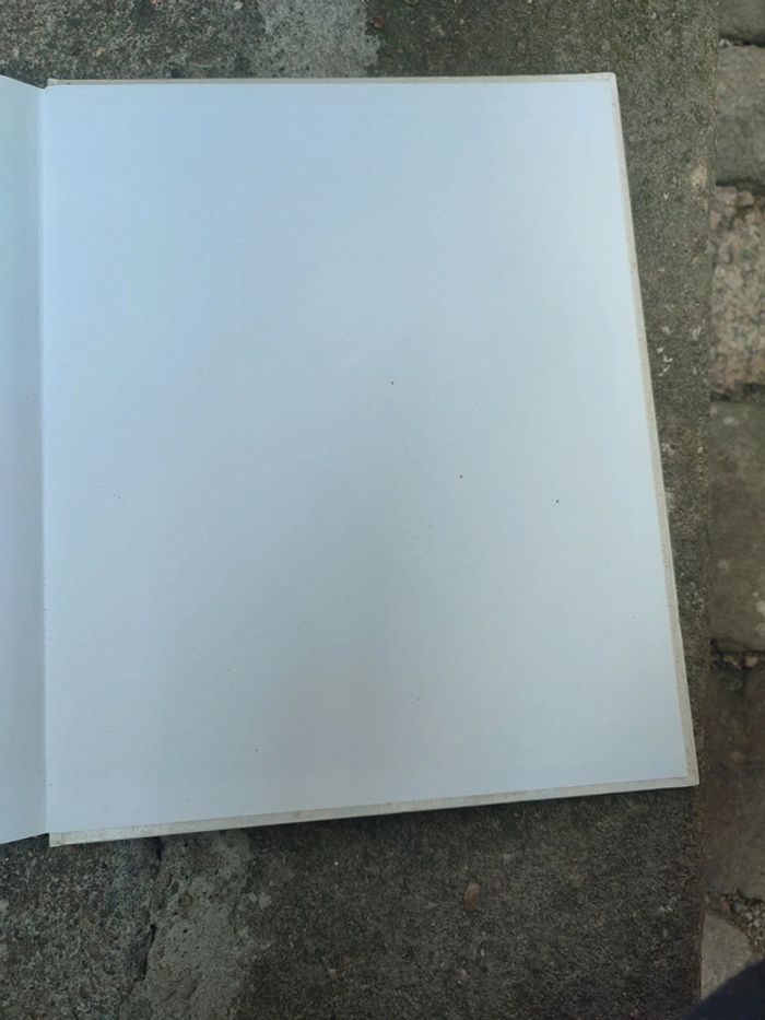 Livre hollande la terre volée à la mer - photo numéro 12