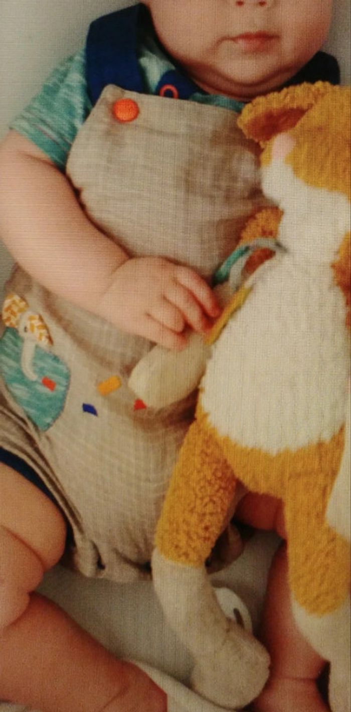 Ensemble salopette t.shirt Moulin Roty les Papoum 3 mois