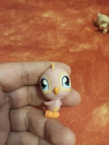 Littlest lps Pet shop perroquet perruche n 2