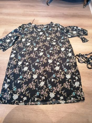 Robe Emonite