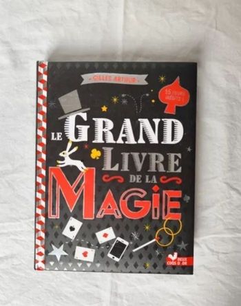 Le Grand Livre de la Magie – Gilles Arthur – Très bon état