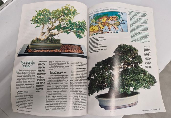 Magazine "Mon premier bonsaï " - photo numéro 4