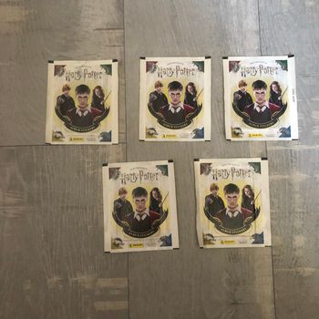 Panini Harry Potter