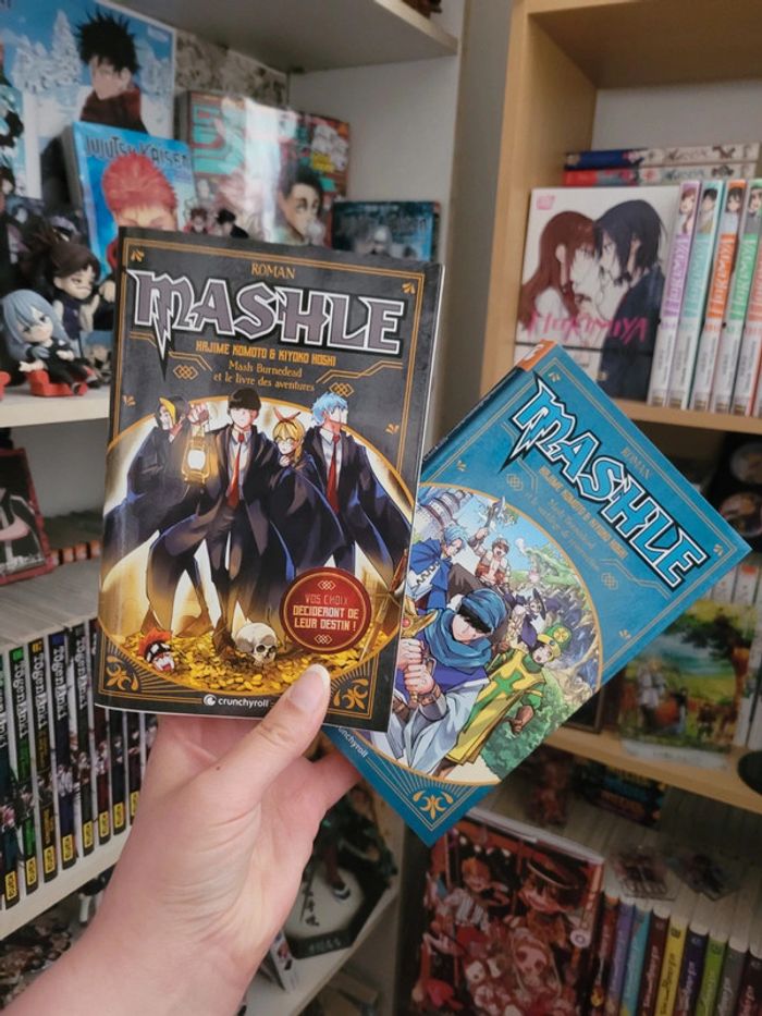 Lot deux romans du manga mashle