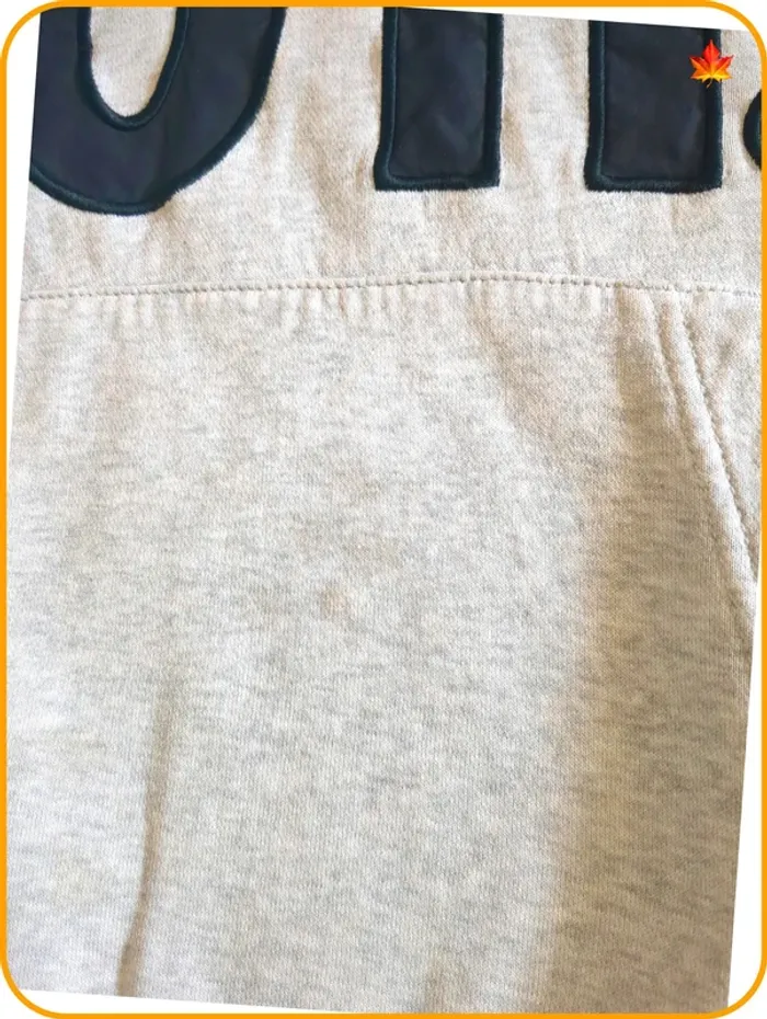 Sweat à capuche Nike homme - photo numéro 5