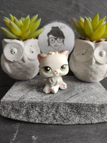 My Littlest Petshop LPS Pet Shop chat persan 328 cat  #geektradelpschat