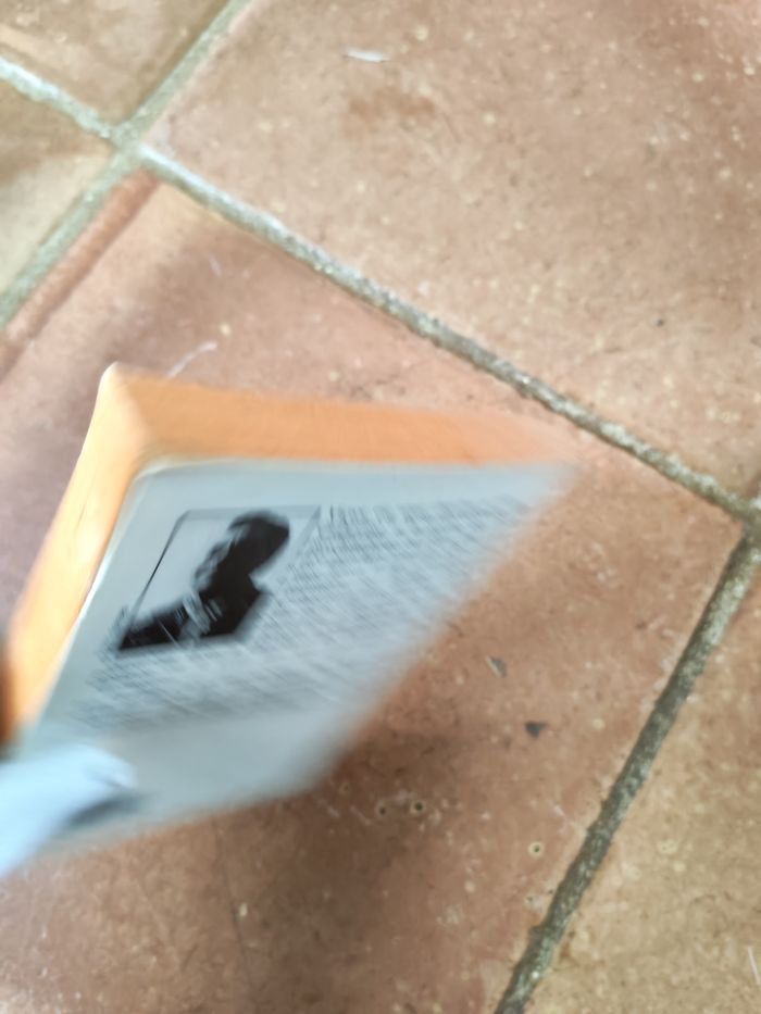 Le piège, livre de Francis Ryck - photo numéro 3