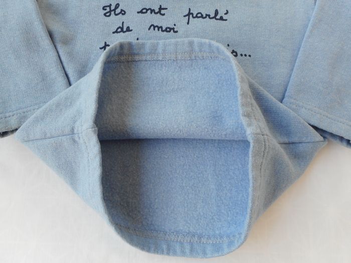 Sweat molletonné bleu - 12 mois - photo numéro 5