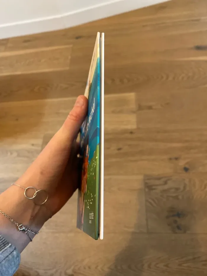 Livre - photo numéro 8