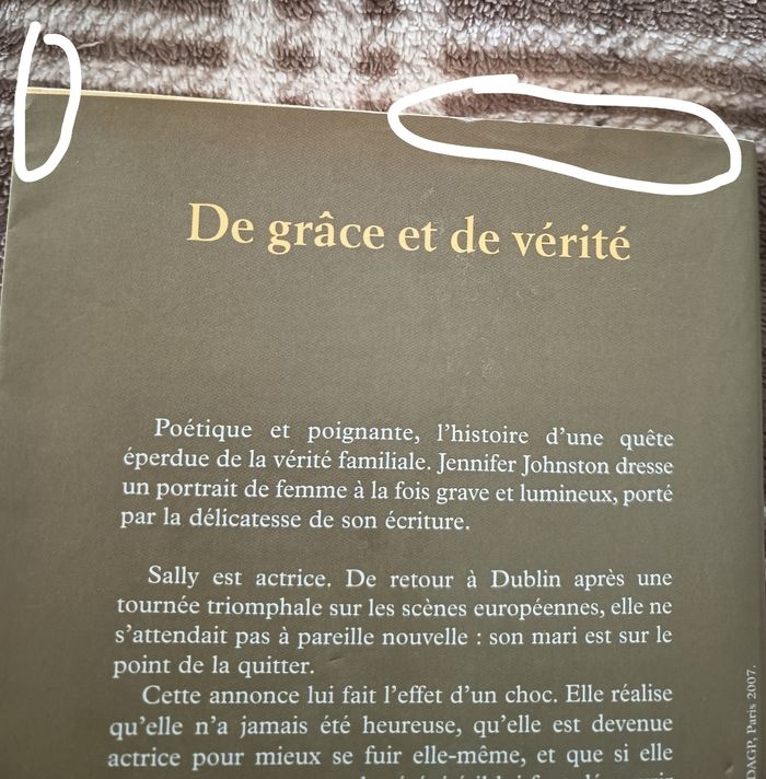 📖 Roman de Jennyfer Johnston 📖 - photo numéro 6