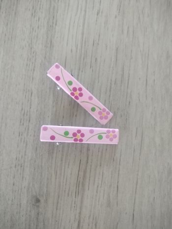 Barrettes a cheveux