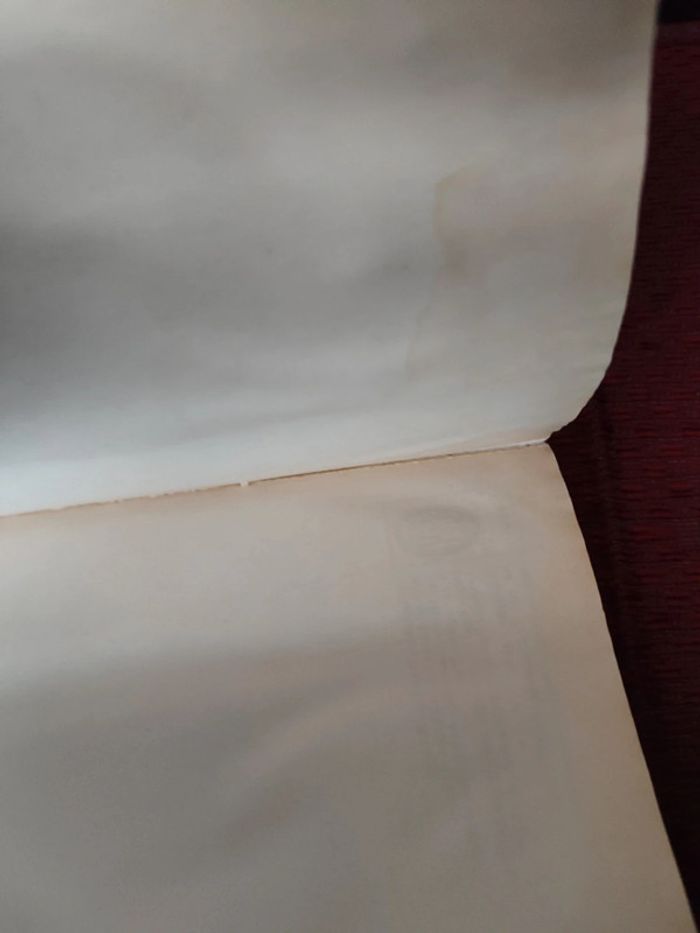 Livre "Le champ de personne " Daniel Picouly - photo numéro 3