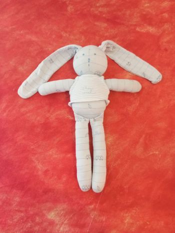 Lapin bleu ciel oiseau Petit bateau