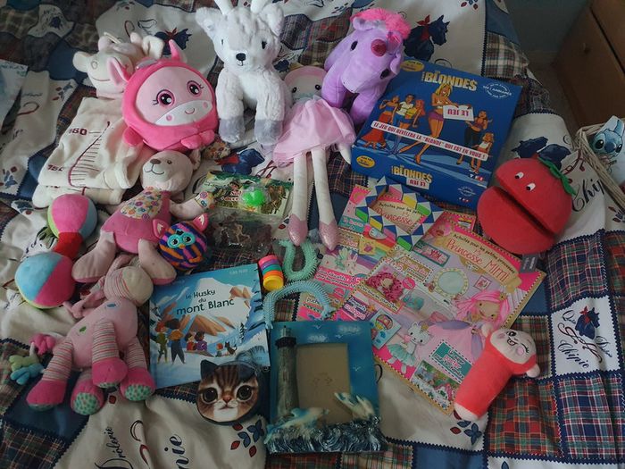 🌸Lots fille 10 peluches + 3 offert + jouet + livre - photo numéro 2