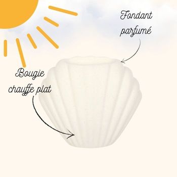 Coquillage