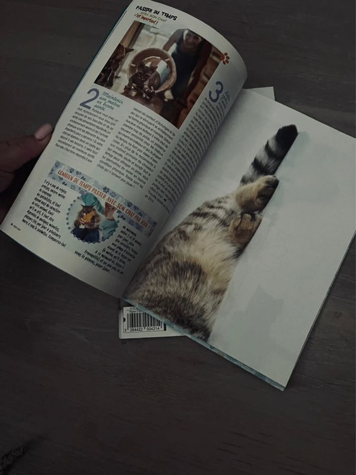 Magazine chat - photo numéro 3