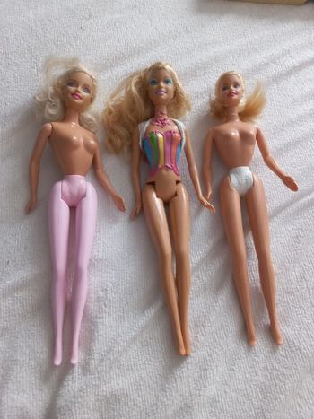 Lot de 3 barbies nudistes
