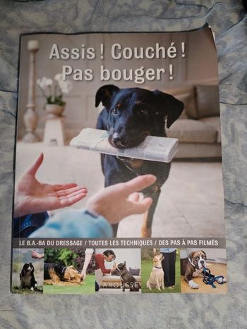 Livre assis ! Couché ! Pas bouger !