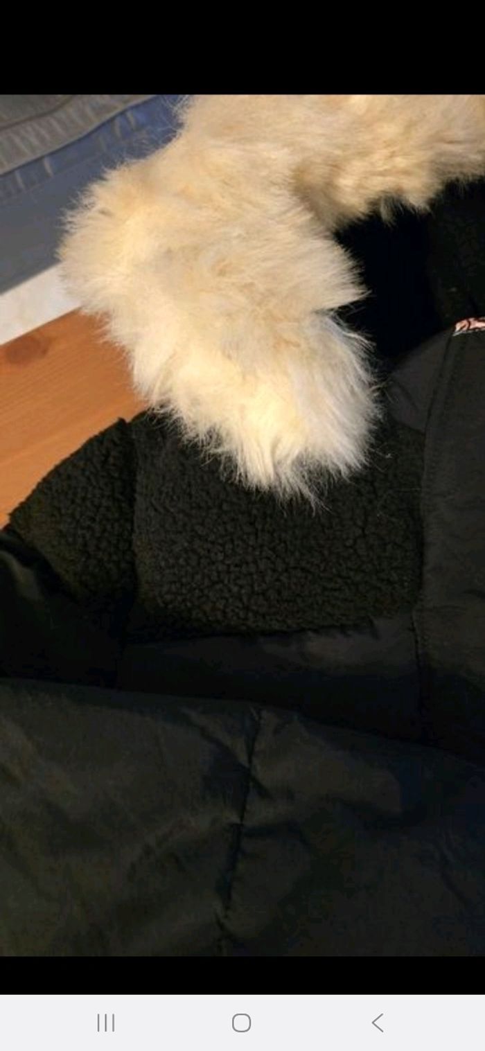 (Neuve non portée)🏷😍🥰 doudoune chaude 12 ans fille 😍🥰🩷 - photo numéro 4