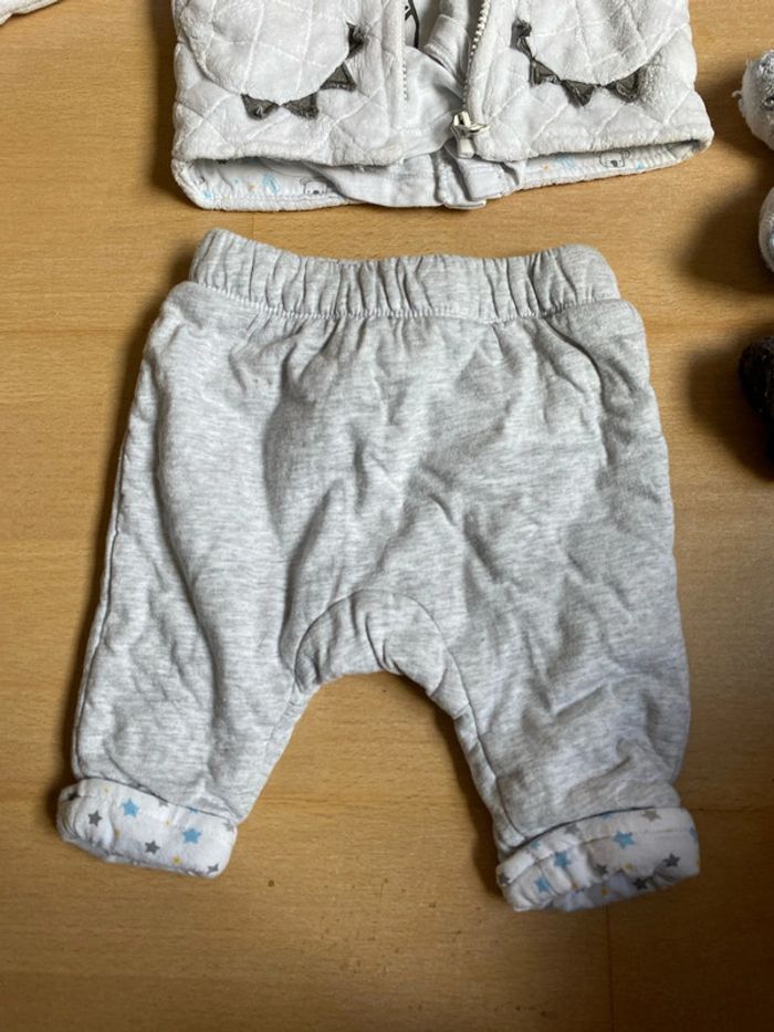 Ensemble koala - photo numéro 2