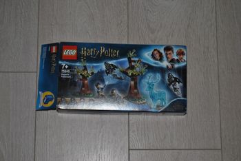 Lego - Harry Potter