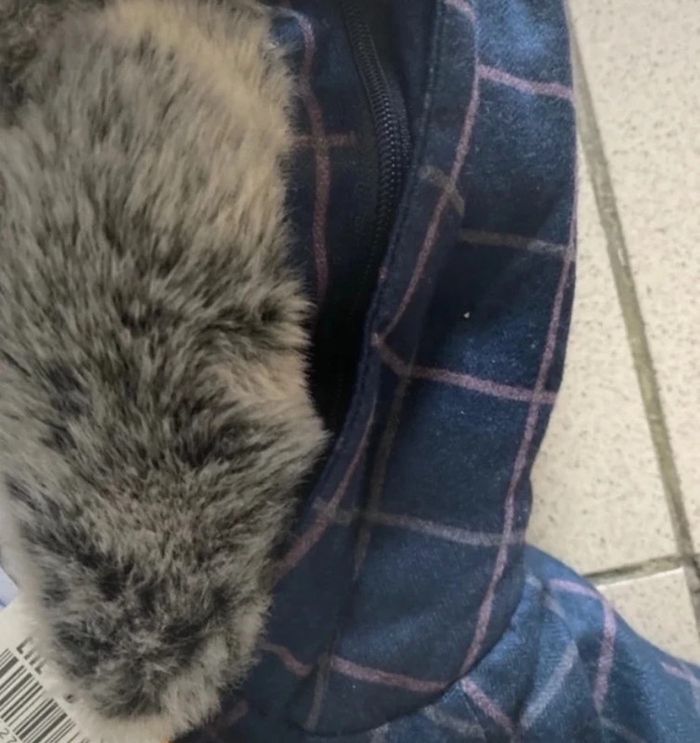 Manteau veste à capuche Obaibi taille 12 mois Neuf valeur 38e - photo numéro 3