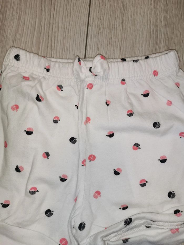 Lot 3 shorts TEX - photo numéro 5
