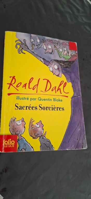 Sacrées sorciéres