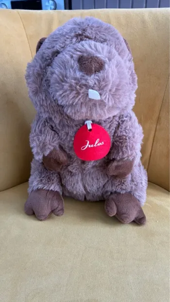 Peluche Castor Jules
